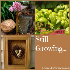Still Growing Garden Podcast 6ftmama