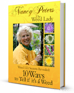Nancy Peters The Weed Lady