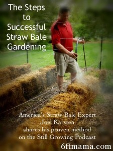 Straw Bale Gardening 6ftmama