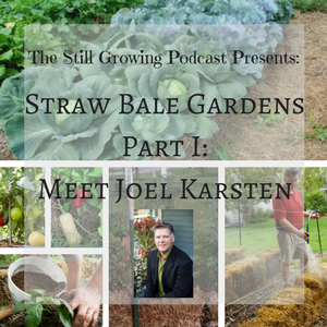 Straw Bale Gardens Part 1