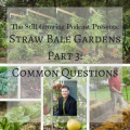 Straw Bale Gardens Part 3