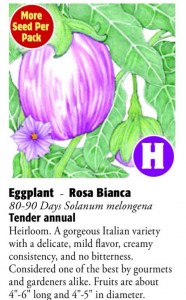 Rosa Bianca Eggplant 6ftmama.com