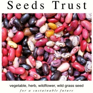 Seeds Trust Catalog Headshot 6ftmama.com