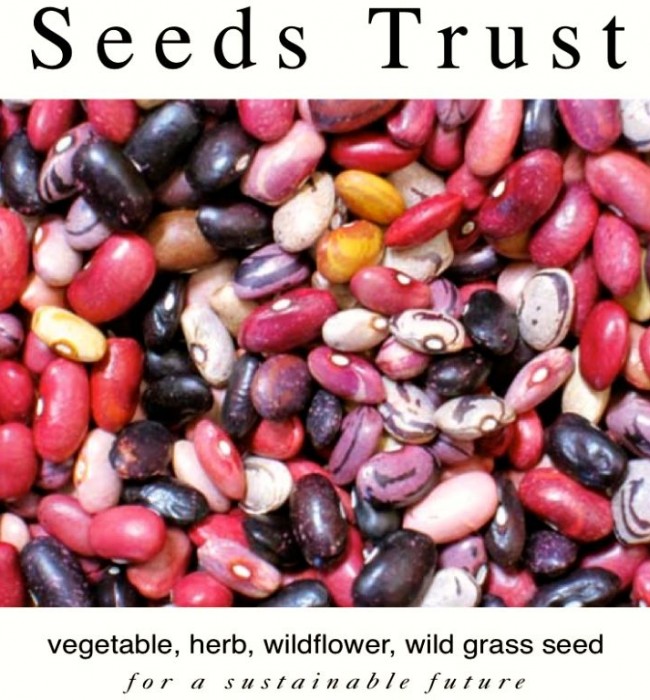 Seeds Trust Catalog Headshot 6ftmama.com