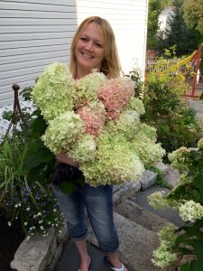Harvesting Hydrangea Jennifer Ebeling Still Growing Gardening Podcast 6ftmama blog
