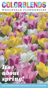 colorblends-catalog-2016-1st-annual-spring-bulb-party-on-still-growing-gardening-podcast-6ftmama-blog