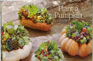 Country Gardens Spread Plant a Pumpkin Laura Eubanks on the Still Growing Gardening Podcast 6ftmama blog