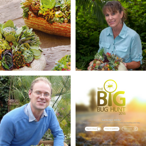 SG540- Double Feature with Laura Eubanks of Design for Serenity and Benedict Vanheems of Big Bug Hunt