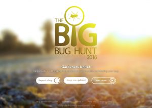 The Big Bug Hunt on the Still Growing Gardening Podcast 6ftmama blog