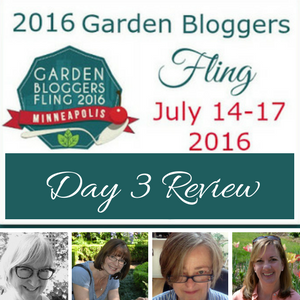 Day 3 of the 2016 Garden Bloggers Fling Minneapolis 300 (1)