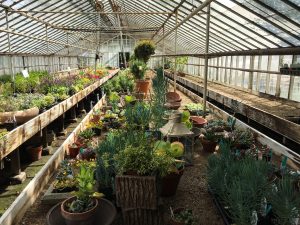 kelly-kelly-nursery-on-the-still-growing-gardening-podcast6ftmama-blog