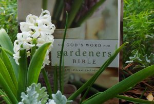 SG548: How to Draw Insight From the Gardens and Plants of the Bible with Shelley Cramm