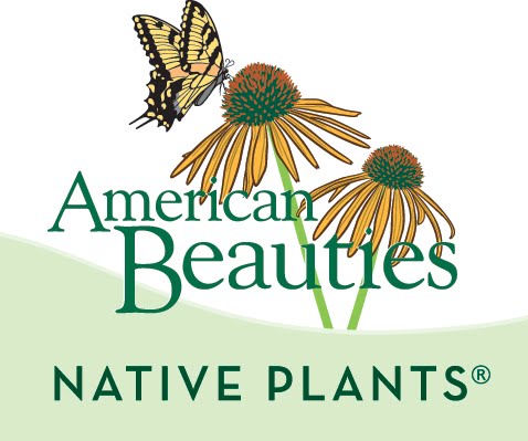 Busting Native Plant Myths with Peggy Anne Montgomery