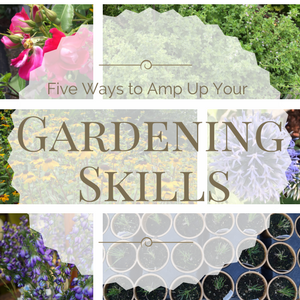 Amp Up Your Gardening Skills (5 Ways You Can Get Started Today)