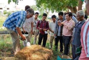 Joel Karsten Helps Farmers in Cambodia and How Straw Bale Gardens Solves the Toughest Growing Challenges