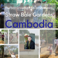 Straw Bale Gardens Cambodia