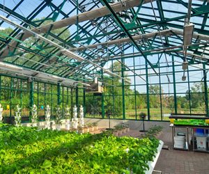 Resident Farmer Trevor John Discusses Organic, and Hydroponic, Greenhouse Gardening