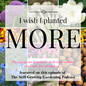 I Wish I planted More on the the Still Growing Gardening Podcast 6ftmama blog (1)