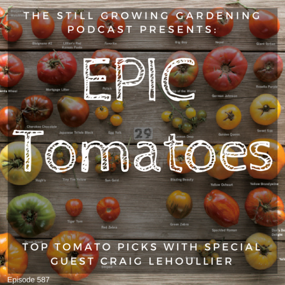 SG587: Top Tomato Picks by Epic Tomato Author Craig LeHoullier